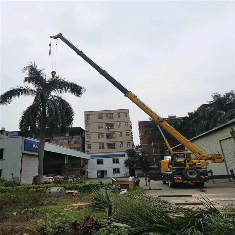 群英乡汽车吊出租多少钱？全面解析与市场行情